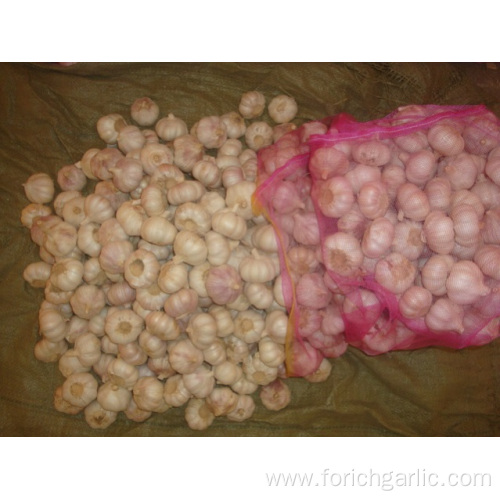 Different Package of Jinxiang Normal White Garlic